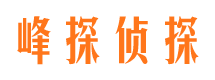 洮北市婚外情调查